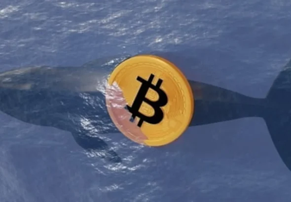 스트래티지, 397 비트코인 추매…652억원 규모