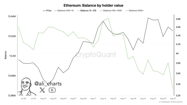 fe539591-ac85-4985-a11d-d59e05a729b5