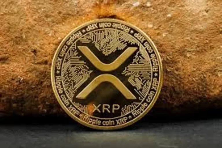 내달 ETF 7개 쏟아진다"…기대감 커지는 XRP